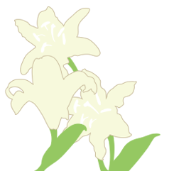 パソコン教室のシンボルの花